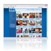 Website V2